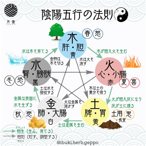 陰陽五行 動物|陰陽五行説 – 陰陽道・五行説をわかりやすく解説【図。